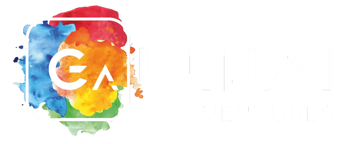 Gallium Ventures